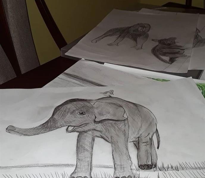#pracegover: desenhos artísticos de formas de vários animais em folhas espalhados por uma mesa