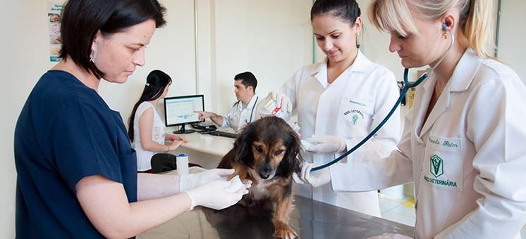 Residência Integrada em Medicina Veterinária