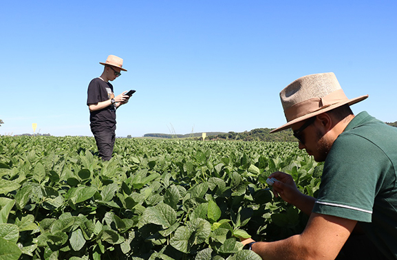 Escola de Ciências Agrárias, Inovação e Negócios