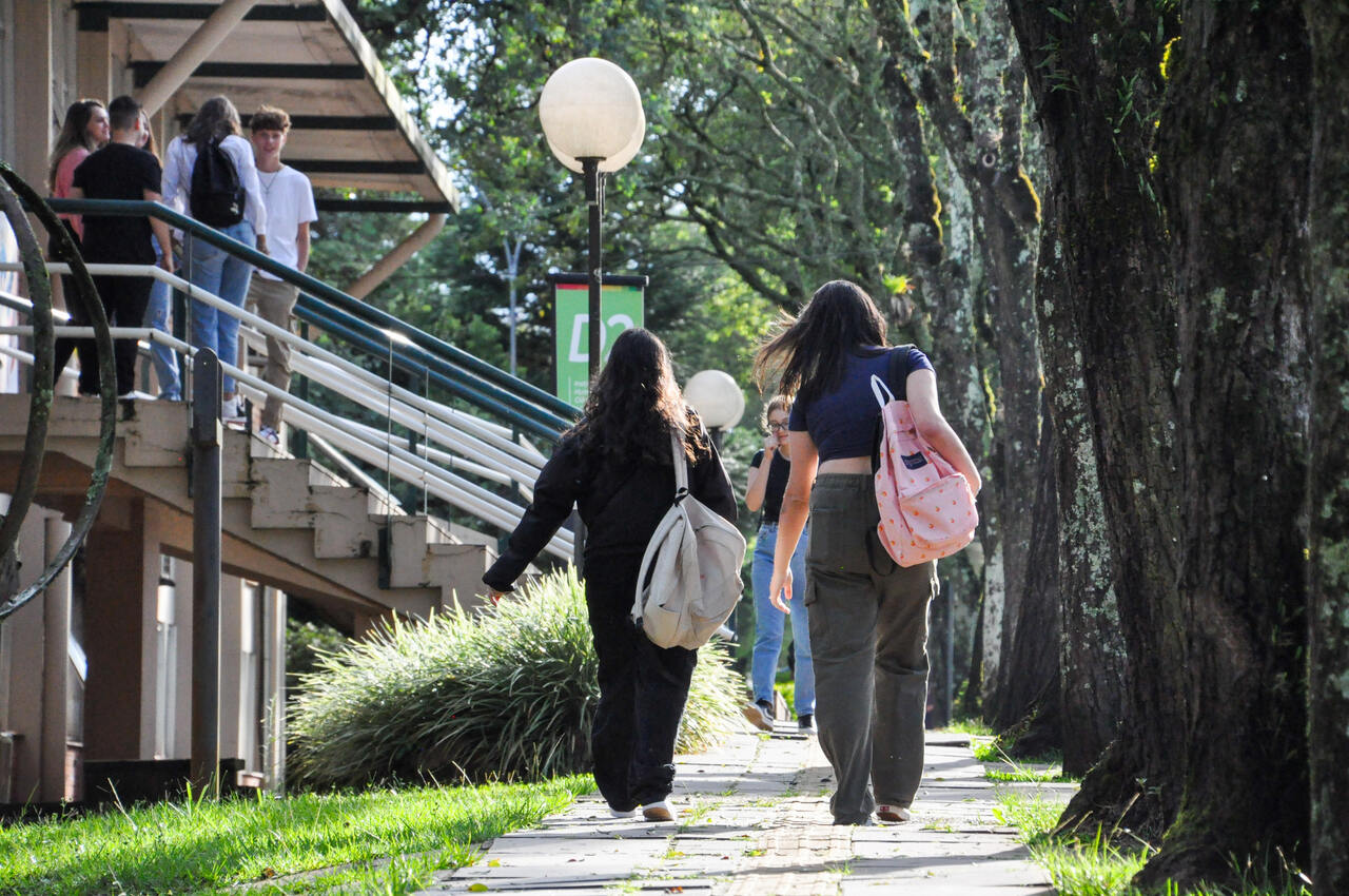 Vestibular UPF: ainda dá tempo de se inscrever com benefícios financeiros