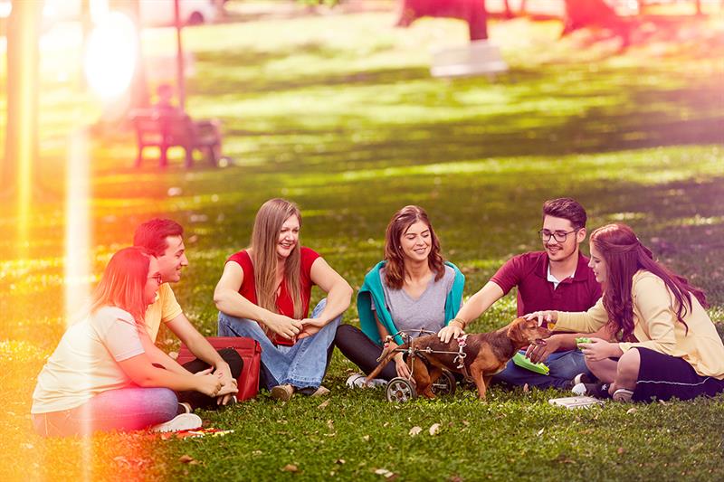 Vestibular UPF: Descontos e financiamentos contribuem para acesso à universidade