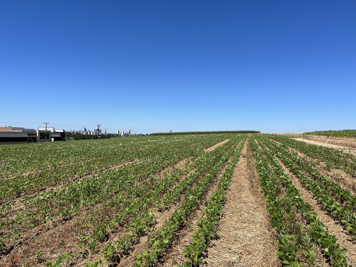 Cepagro UPF: teoria colocada em prática nas Ciências Agrárias