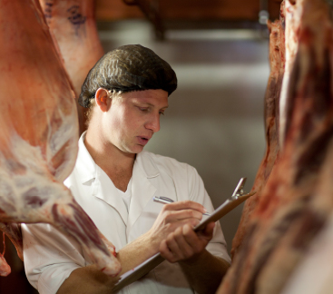 Especialização em Inspeção, Tecnologia e Ciência dos Alimentos de Origem Animal - 3ª ed.