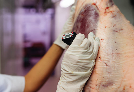 Especialização em Inspeção, Tecnologia e Ciência dos Alimentos de Origem Animal