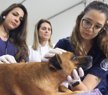 Residência Profissional Integrada em Medicina Veterinária