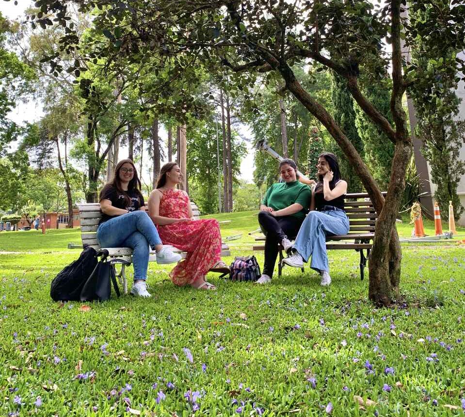 Vestibular: campi da UPF oferecem novos cursos de graduação