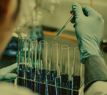 Mestrado e Doutorado em Bioexperimentação