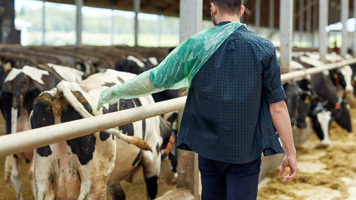 Medicina Veterinária (semipresencial)