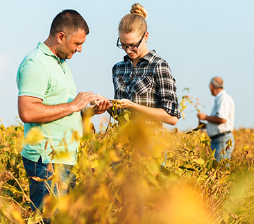 Especialização em Proteção de Plantas - 7ª ed.