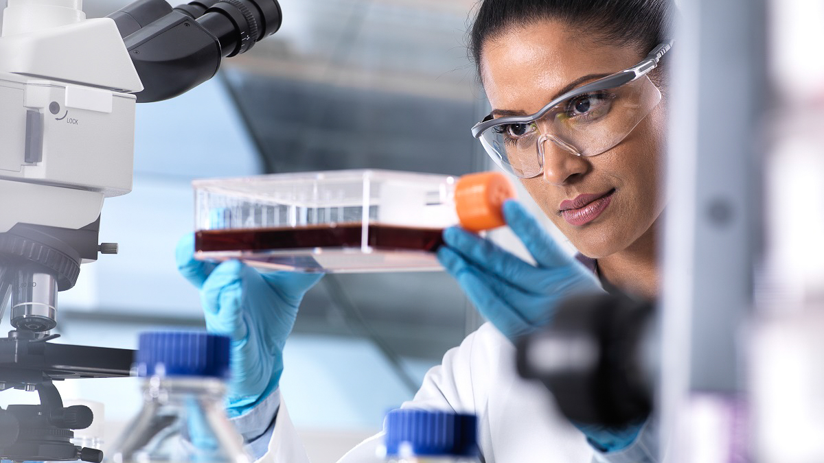 Engenharia Biomédica (B)