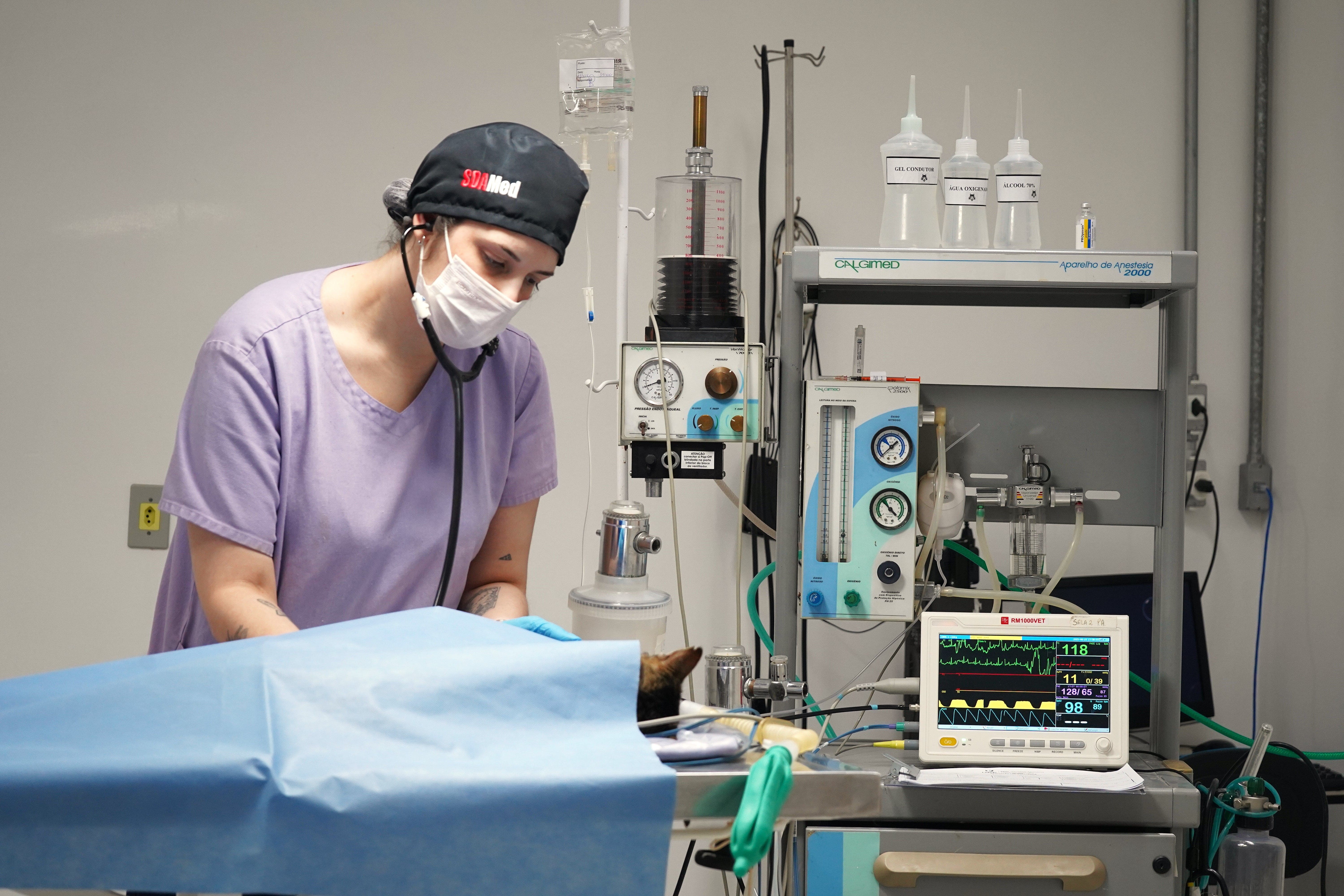 Novidades na UPF Casca: Curso de Medicina Veterinária passa a ser ofertado no campus