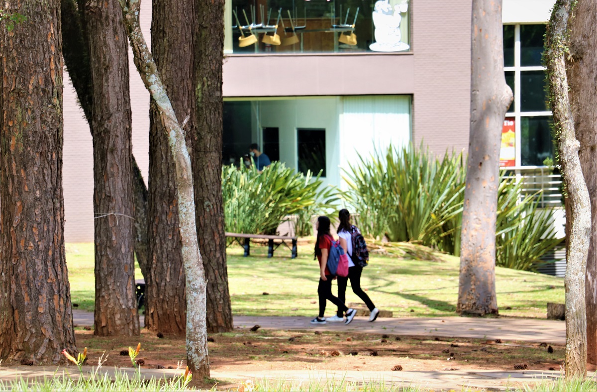 Vestibular de Verão UPF: inscrições encerram na próxima quarta-feira (17/02)