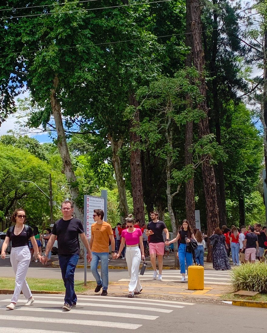 UPF espera mais de 4 mil candidatos para o Vestibular de Verão