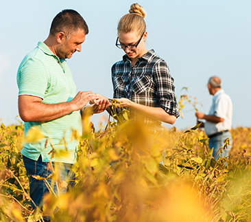 Especialização em Proteção de Plantas - 7ª ed.