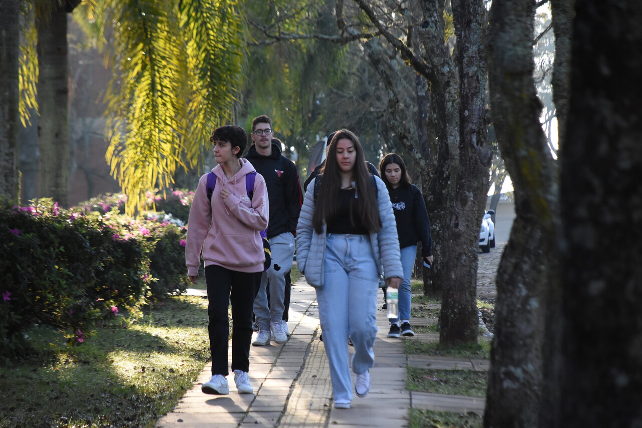 Conheça os cursos de educação, criatividade e humanidades da UPF