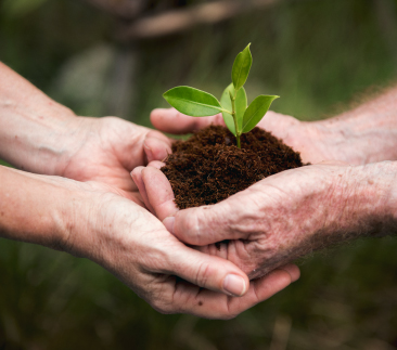 Mestrado em Sistemas Ambientais e Sustentabilidade