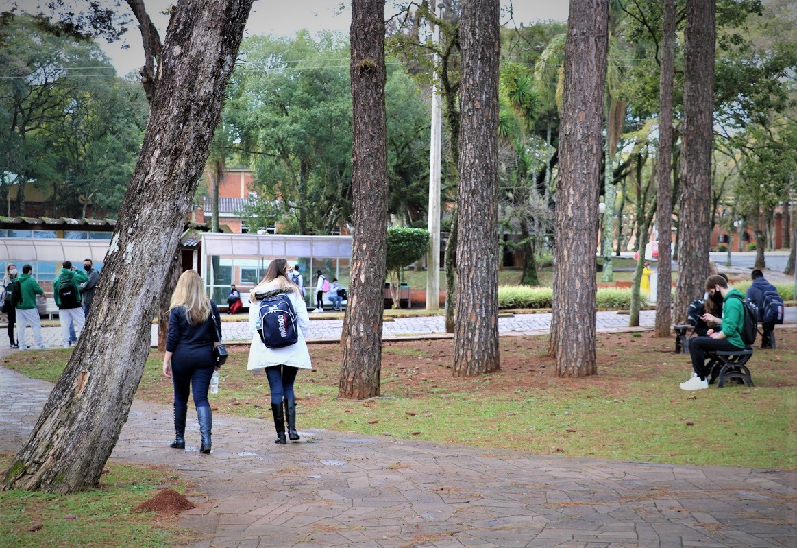 UPF divulga segunda chamada para Vestibular de Medicina