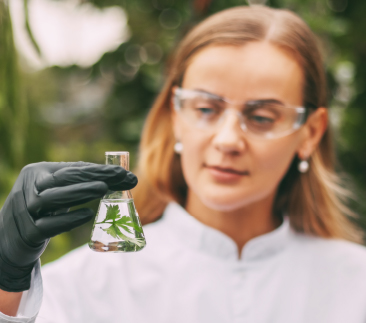 MBA em Controle de Qualidade e Meio Ambiente: Gestão do Laboratório e da Indústria - 4ªed.