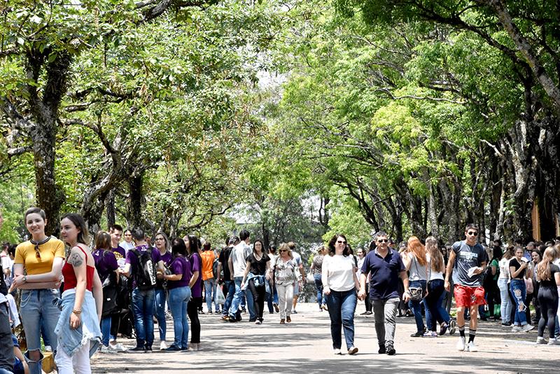UPF divulga aprovados no Vestibular de Verão 2020