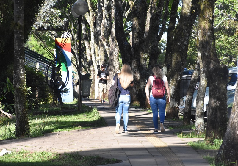 Vestibular UPF: planejamento e rede de apoio ajudam a sair da casa dos pais 