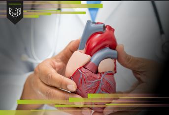 Suporte Avançado de Vida em Cardiologia - ACLS 2025 - Turma 3 922925