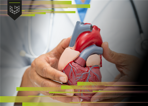 Suporte Avançado de Vida em Cardiologia - ACLS 2025 - Turma 4 927511