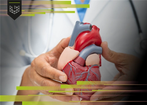 Suporte Avançado de Vida em Cardiologia - ACLS 2025 - Turma 4 927511 
