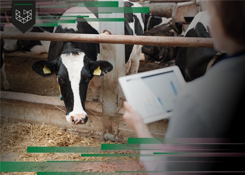 Habilitação de Médicos Veterinários no Programa Nacional de Controle e Erradicação de Brucelose e Tuberculose 2026 954022 