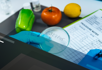 Gestão da Qualidade em Alimentos 785423