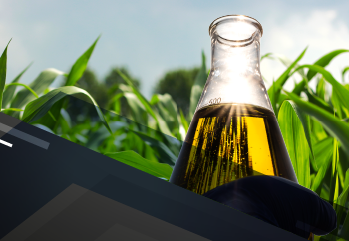 Produção de bioetanol 796688