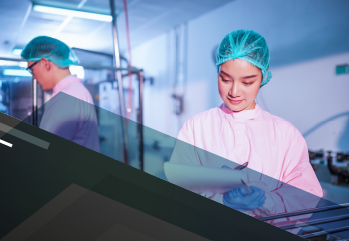 Sistema HACCP - APPCC 800011