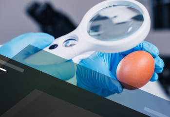 Responsabilidade Técnica em alimentos de origem animal - 3° edição 817484