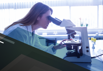 Curso Prático de Histopatologia Veterinária Básica: do processamento ao diagnóstico - 1ª edição 828841 