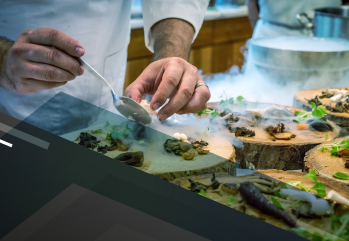 Atualização em Gastronomia 781582